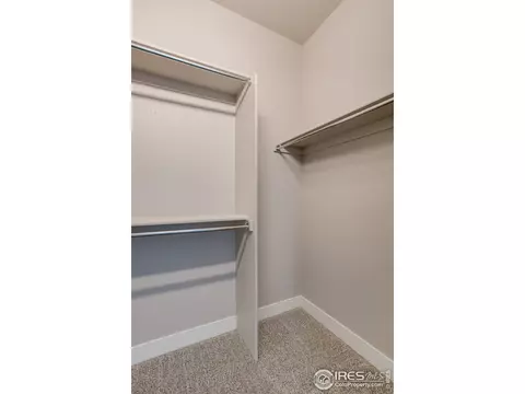6556 Crystal Downs Dr #206, Windsor, CO 80550 photo 22