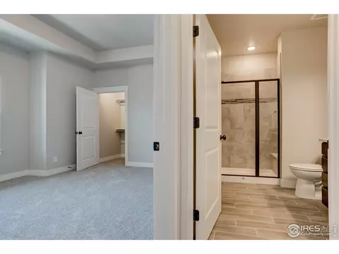 6556 Crystal Downs Dr #206, Windsor, CO 80550 photo 19