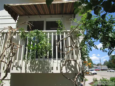428 1st St, Windsor, CO 80550 photo 4
