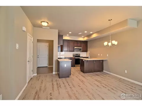 1695 Grand Ave #5, Windsor, CO 80550 photo 9
