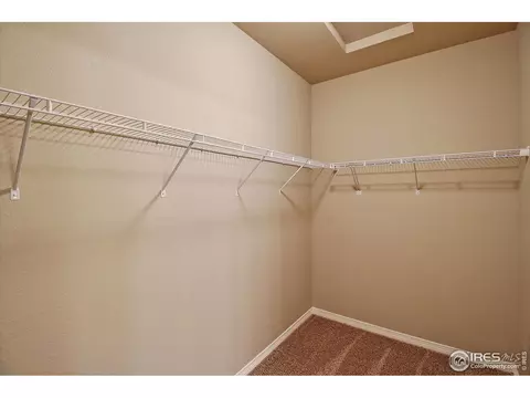 1695 Grand Ave #5, Windsor, CO 80550 photo 21