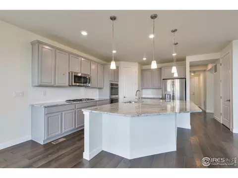 2872 Fractus St, Timnath, CO 80547 photo 10
