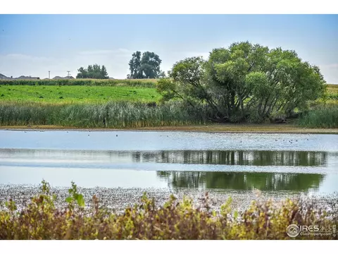 2872 Fractus St, Timnath, CO 80547 photo 21