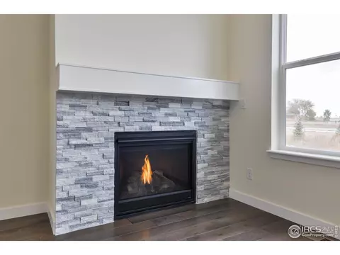 2872 Fractus St, Timnath, CO 80547 photo 5