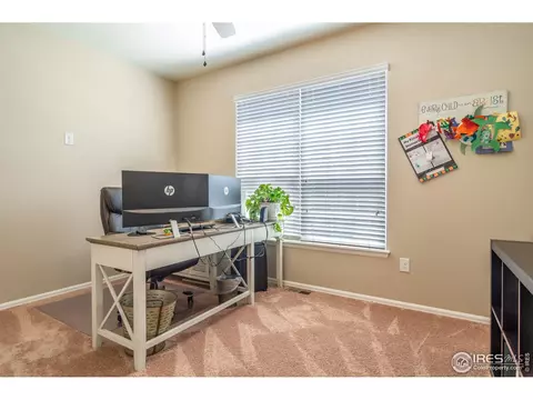 10041 Buttesfield St, Firestone, CO 80504 photo 29