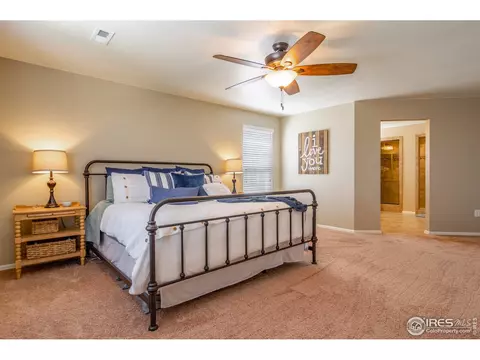 10041 Buttesfield St, Firestone, CO 80504 photo 21