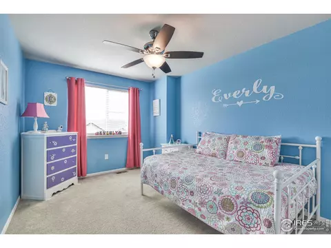 2046 Grain Bin Dr, Windsor, CO 80550 photo 29
