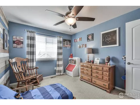 2046 Grain Bin Dr, Windsor, CO 80550 photo 27