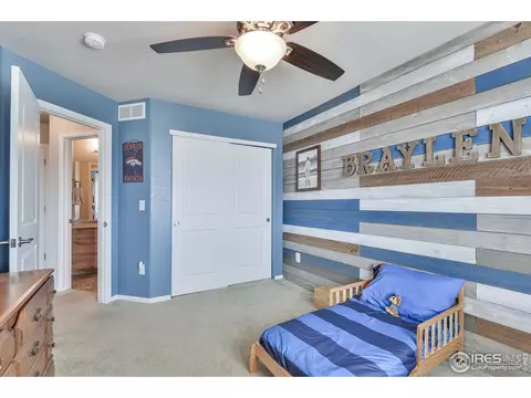 2046 Grain Bin Dr, Windsor, CO 80550 photo 28
