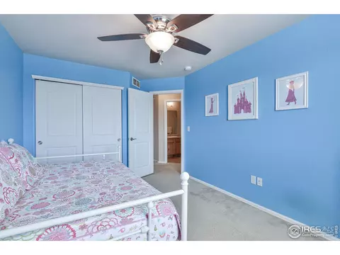 2046 Grain Bin Dr, Windsor, CO 80550 photo 30
