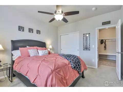 2046 Grain Bin Dr, Windsor, CO 80550 photo 16