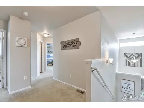 2046 Grain Bin Dr, Windsor, CO 80550 photo 19