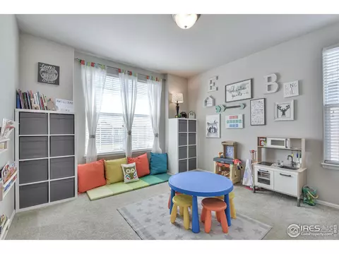 2046 Grain Bin Dr, Windsor, CO 80550 photo 11
