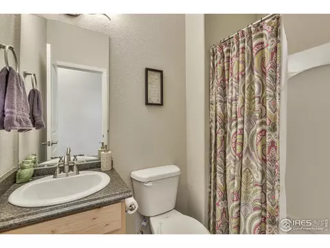 2046 Grain Bin Dr, Windsor, CO 80550 photo 17