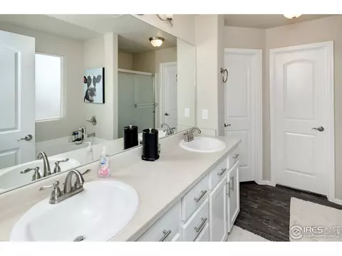603 Gore Range Dr, Windsor, CO 80550 photo 12