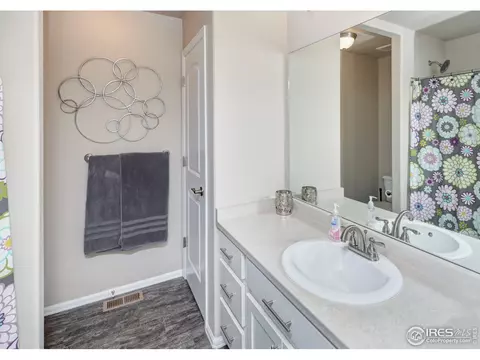 603 Gore Range Dr, Windsor, CO 80550 photo 15