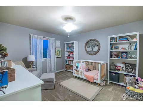 493 Sundance Dr, Windsor, CO 80550 photo 23