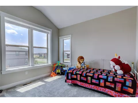 9389 E 57th Pl, Denver, CO 80238 photo 24