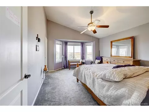 4495 Windmill Dr, Brighton, CO 80601 photo 26