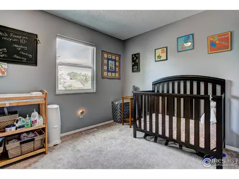 973 Nantucket St, Windsor, CO 80550 photo 19