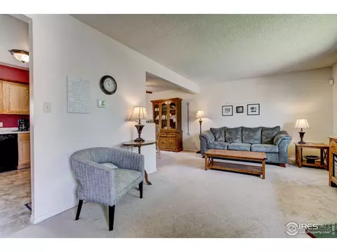 973 Nantucket St, Windsor, CO 80550 photo 6