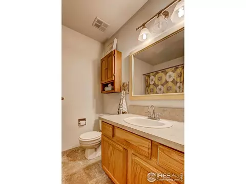 973 Nantucket St, Windsor, CO 80550 photo 21