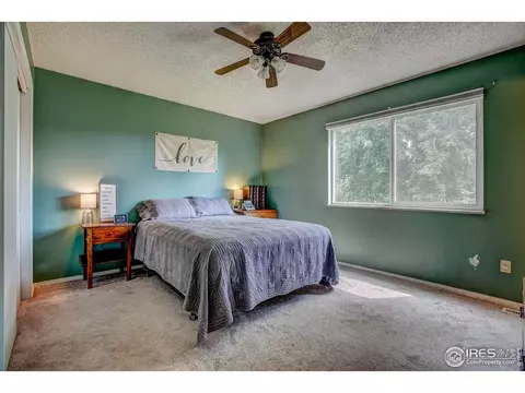 973 Nantucket St, Windsor, CO 80550 photo 15