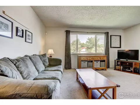 973 Nantucket St, Windsor, CO 80550 photo 5