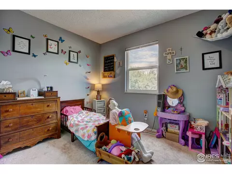 973 Nantucket St, Windsor, CO 80550 photo 20