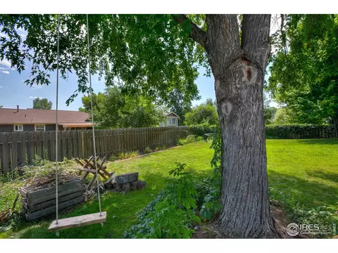 973 Nantucket St, Windsor, CO 80550 photo 13