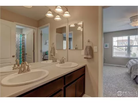 8458 Violet Ct, Arvada, CO 80007 photo 23
