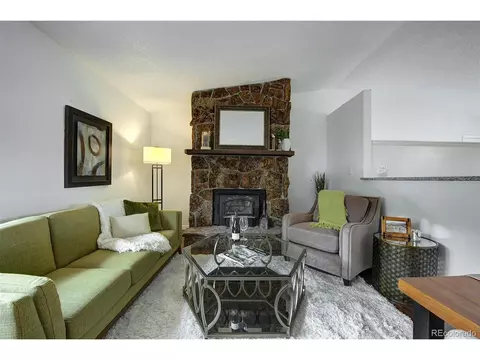 239 Yew Ln, Bailey, CO 80421 photo 4