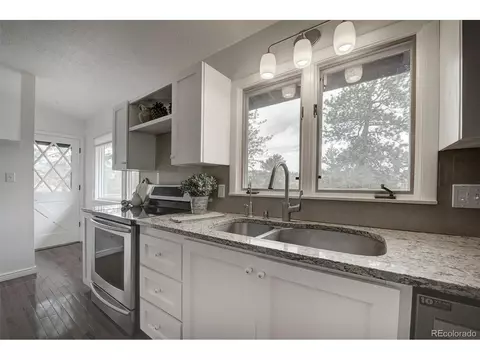 239 Yew Ln, Bailey, CO 80421 photo 2