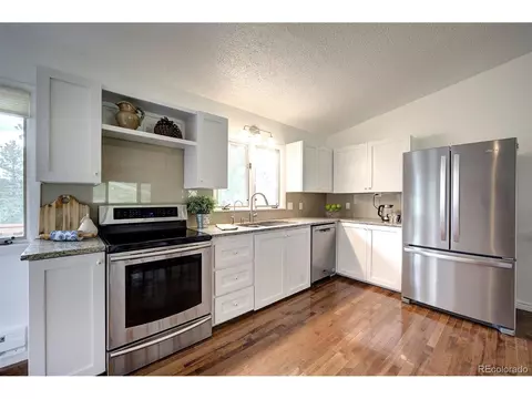 239 Yew Ln, Bailey, CO 80421 photo 1