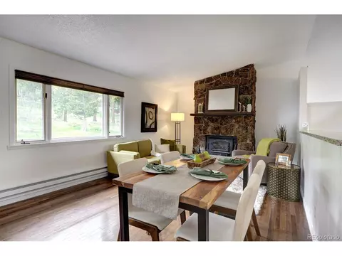 239 Yew Ln, Bailey, CO 80421 photo 12