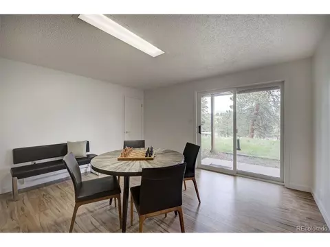 239 Yew Ln, Bailey, CO 80421 photo 25