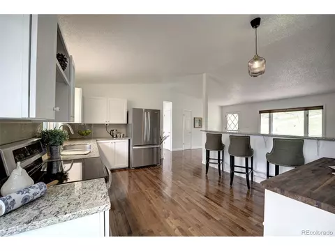 239 Yew Ln, Bailey, CO 80421 photo 14