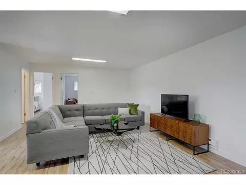 239 Yew Ln, Bailey, CO 80421 photo 21