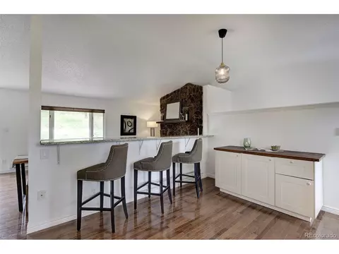 239 Yew Ln, Bailey, CO 80421 photo 15