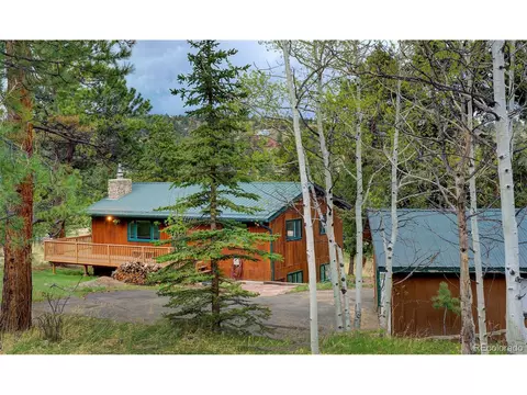 239 Yew Ln, Bailey, CO 80421 photo 39