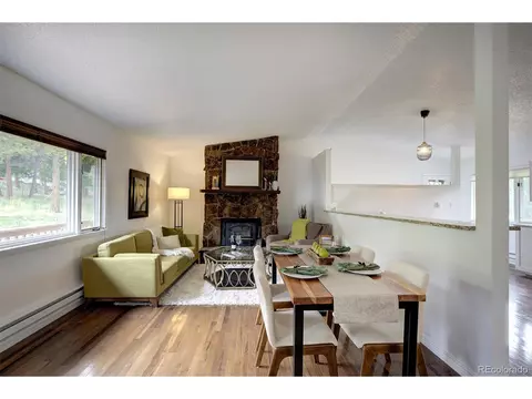 239 Yew Ln, Bailey, CO 80421 photo 10