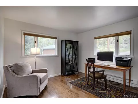239 Yew Ln, Bailey, CO 80421 photo 19