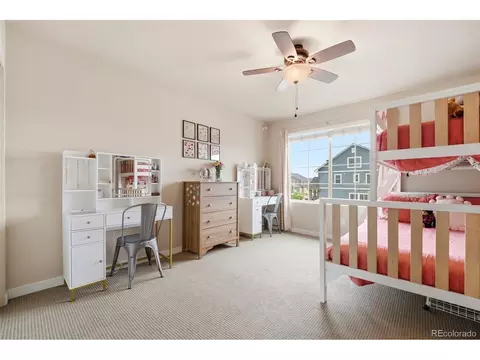 8981 Sentry Dr, Fountain, CO 80817 photo 29
