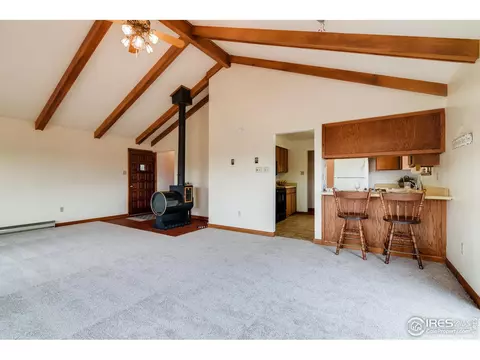 26 Sombrero Ct, Lyons, CO 80540 photo 22
