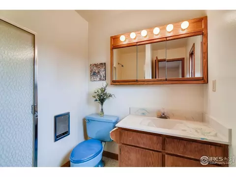 26 Sombrero Ct, Lyons, CO 80540 photo 19