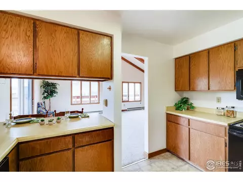 26 Sombrero Ct, Lyons, CO 80540 photo 14