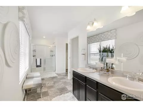7101 Frying Pan Dr, Frederick, CO 80530 photo 22