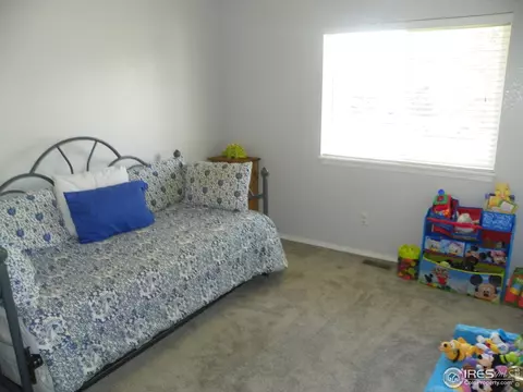 1202 Walnut St, Windsor, CO 80550 photo 24