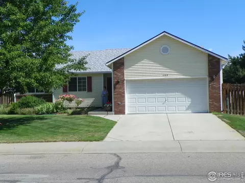 1202 Walnut St, Windsor, CO 80550 photo 1