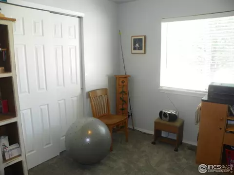 1202 Walnut St, Windsor, CO 80550 photo 23